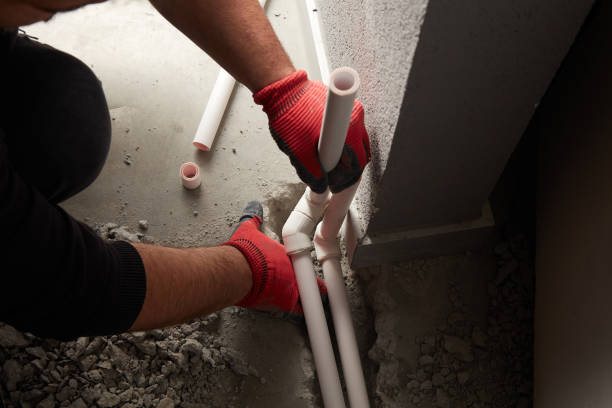 Best Clogged Drain Plumber  in Seymour, TN