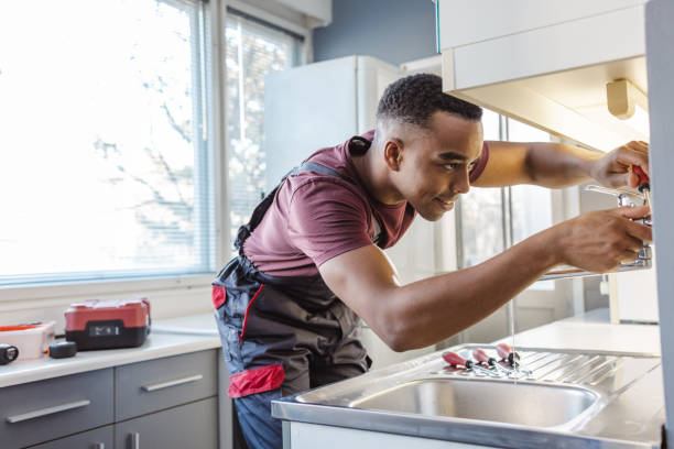 Best Local Plumber Services  in Seymour, TN